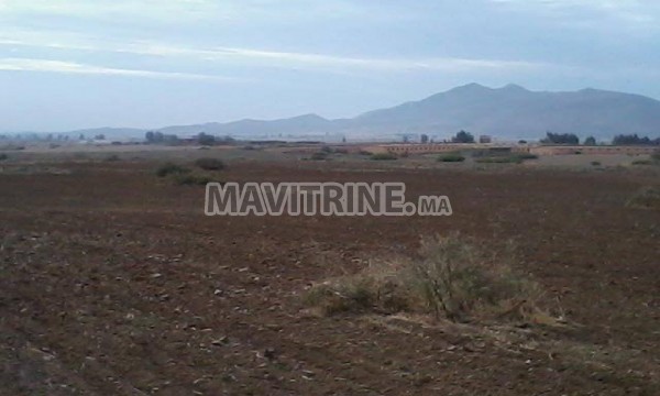 terrain de 3 hectar a 20 km de marrakech