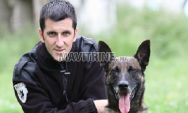 agent e sécurité avec chien s