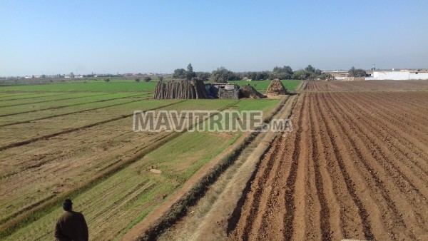 terrain agricole irrigué et titré