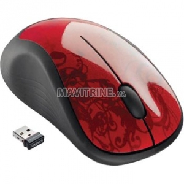 SOURIS DELL  SANS FIL