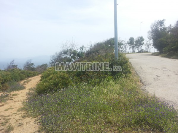 Tétouan-Cabo Negro-Koudia Tayfor terrain a vendre