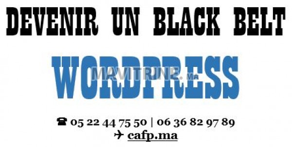 WORDPRESS CMS