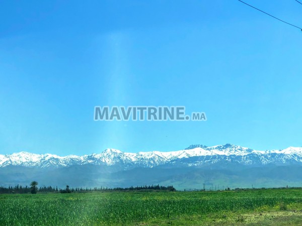 31 ha à vendre à Marrakech