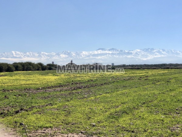 31 ha à vendre à Marrakech