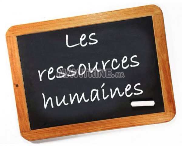 Assistants ressources humaines