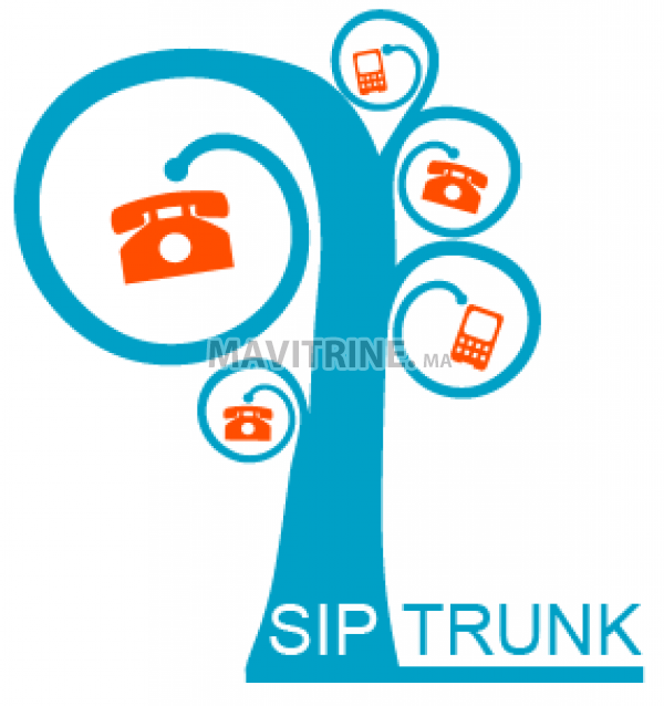 Solution SIP TRUNKING pour PME & Centre d'appels