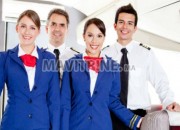 Photo de l'annonce: Hôtesse de l'air / (Steward)