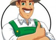 Photo de l'annonce: SERVEUR OU VENDEUR CHEZ CASA SOS AGENCE