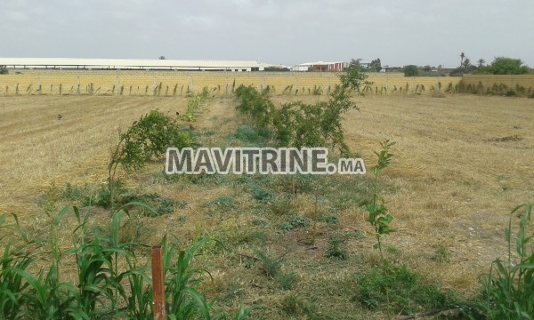 Vente de ferme