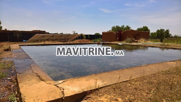 Ferme de 5000m2 Marrakech