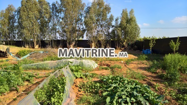 Ferme de 5000m2 Marrakech