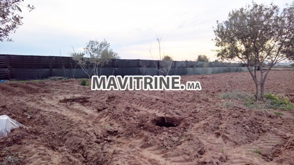 Ferme de 5000m2 Marrakech