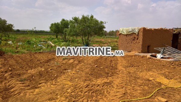 Ferme de 5000m2 Marrakech