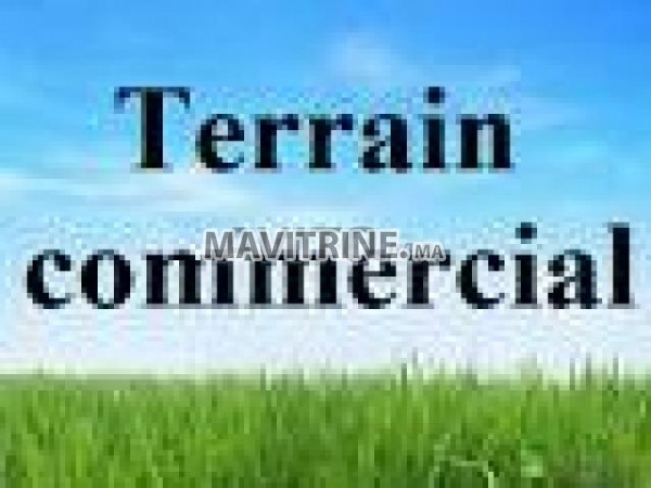 Terrain commercial