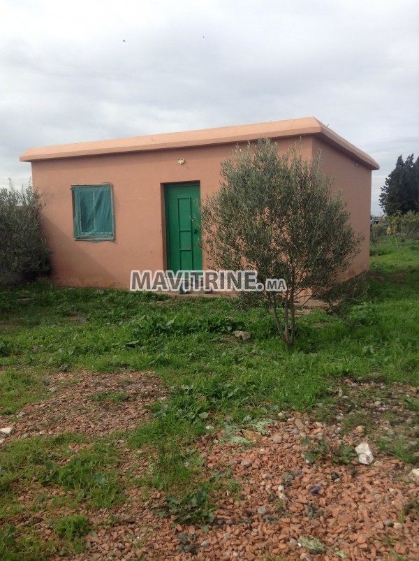 Ferme avec Villa 40mins de casablanca