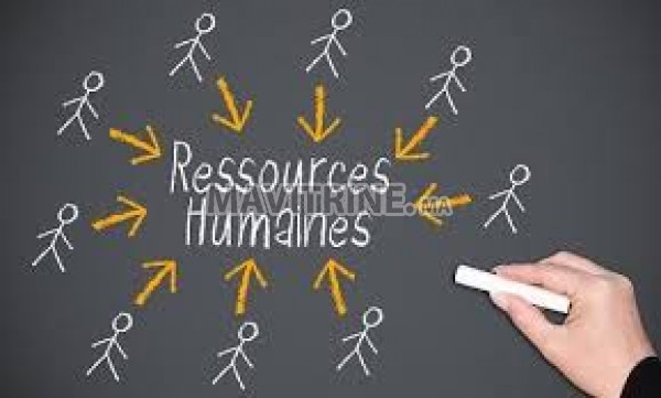 Assistants Ressources humaine