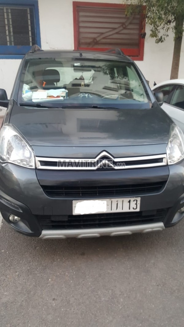 Citroen Berlingo