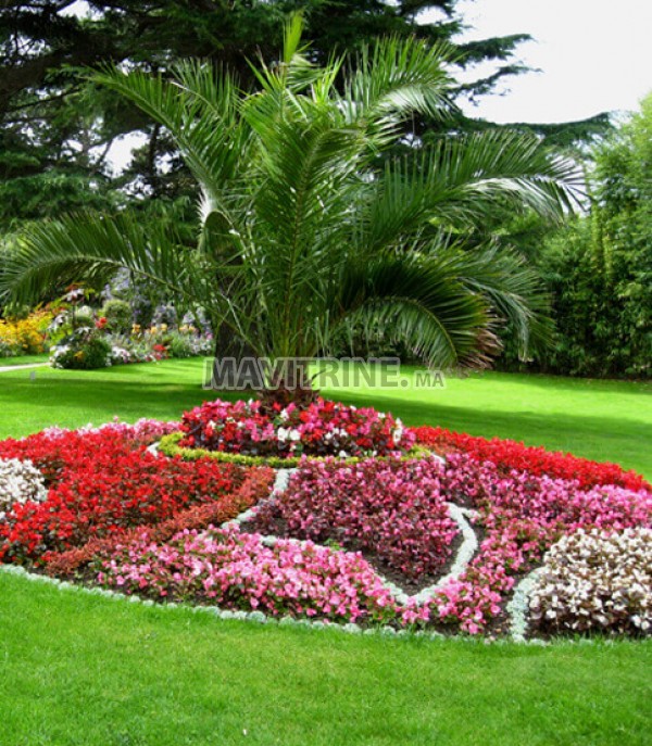 jardinier/Rabat   création jardin galets blanc décoration maroc