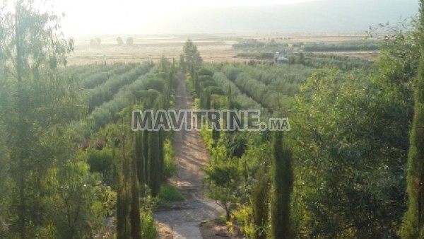 Projet Touristique et Hôtelier Région Marrakech Maroc