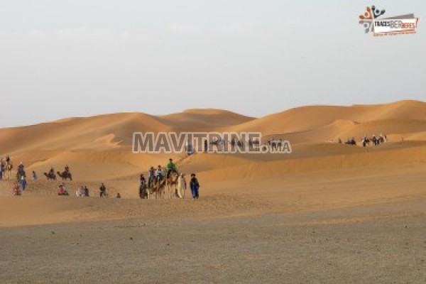 Excursion Dunes Zagora et Vallee du Draa