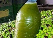 Photo de l'annonce: huile d'olive