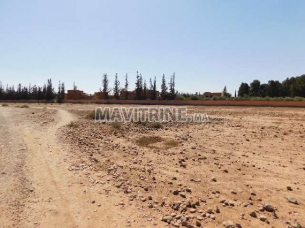 Deux parcelles à vendre km 13 route de Fès Marrakech