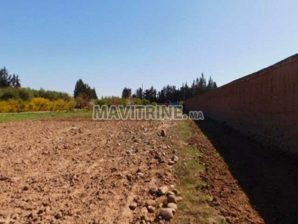 Terrain 1 hectare à vendre route de Fès km 14 Marrakech