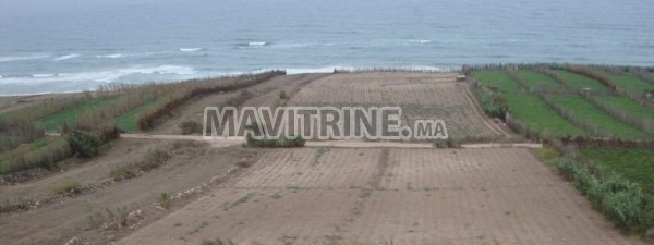 Je mets en vente des terrains au bord de mer zone touristique