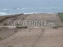 Photo de l'Annonce: Je mets en vente des terrains au bord de mer zone touristique
