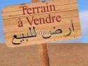 Photo de l'Annonce: Terrain à sidi abdesalam tri9 azla