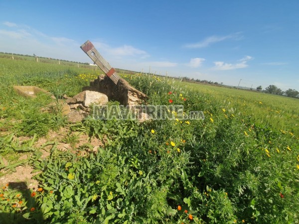 TERRAIN AGRICOL A VENDRE