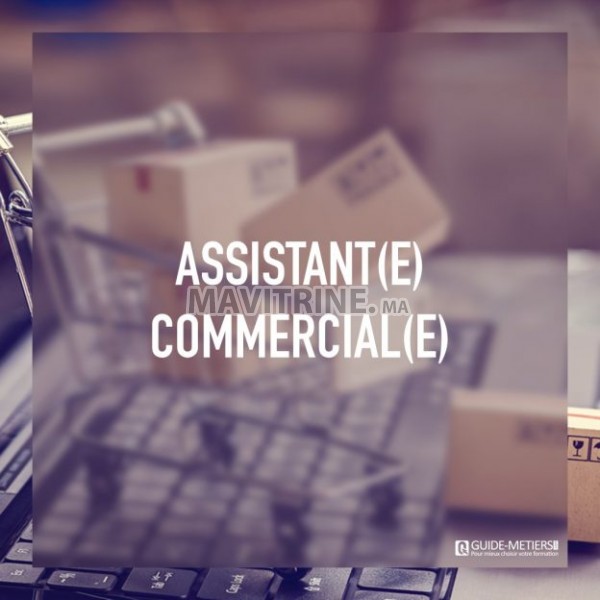 Assistant(e) commercial(e)