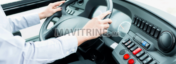 Conducteur Véhicule Léger ou Poids Lourds