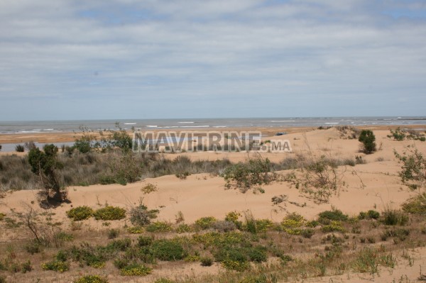 TERRAIN TITREE A VENDRE A MOULAY BOUZERKTOUN