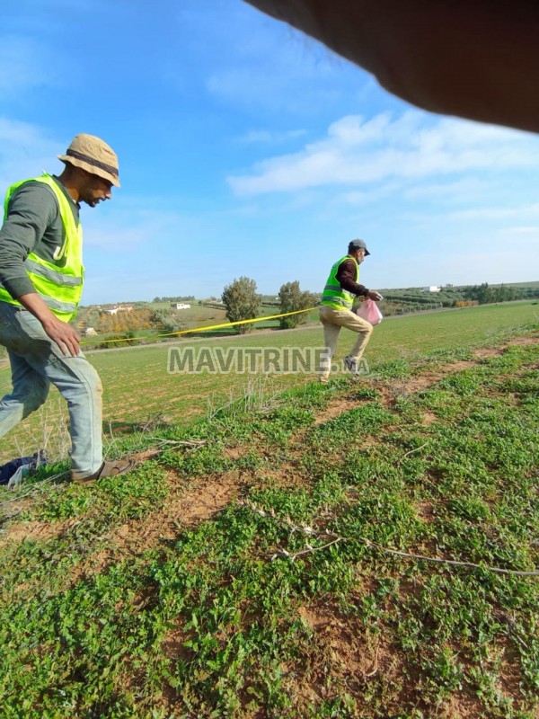 grillage et poteaux de cloture - LASSADAM GRILLAGE